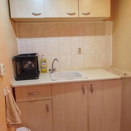 студио александрови Apartment *